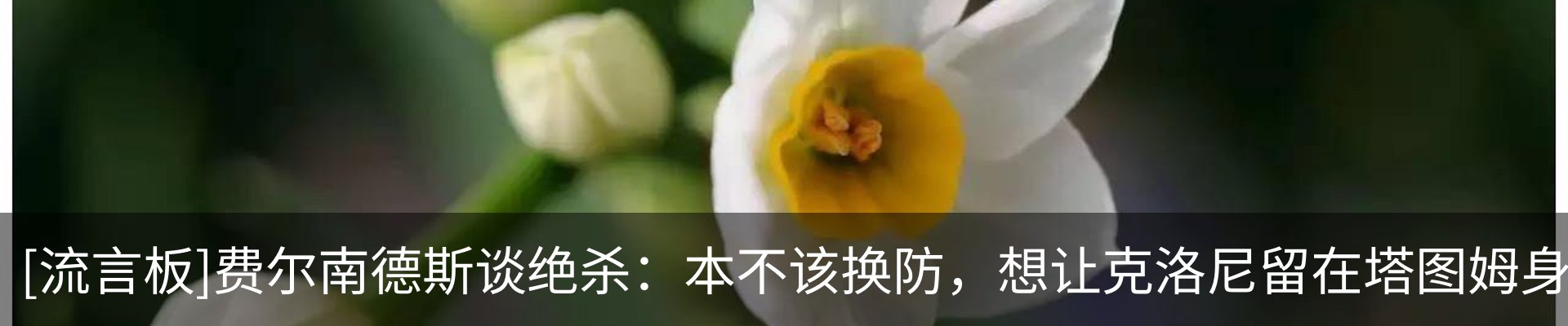 最新动态